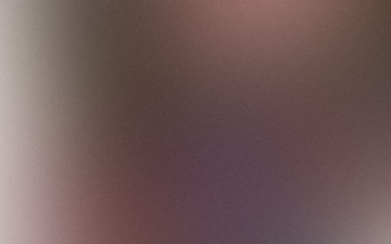 Gallery image three
