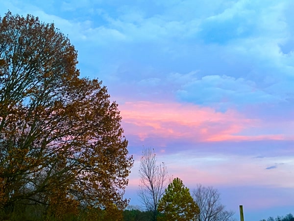 Img 8204