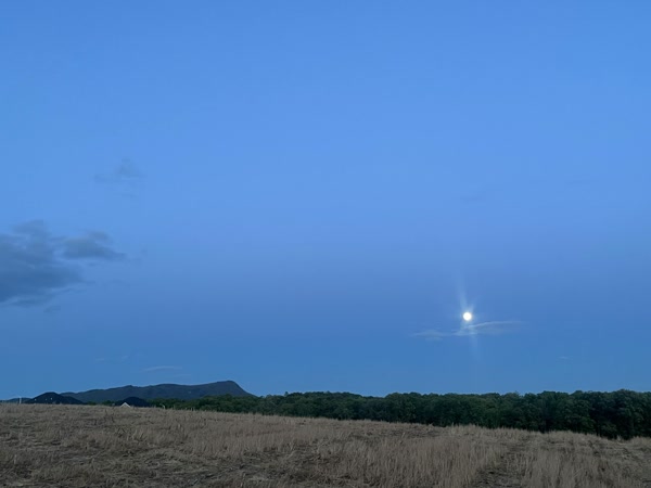 Img 8777